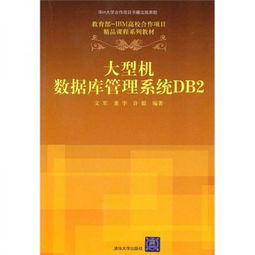 教育部 IBM高校合作项目精品课程系列教材 大型机数据库管理系统DB2