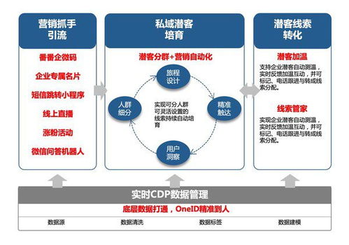 培育不精准 流量转化难,教育行业如何用营销自动化实现增长