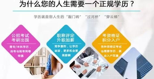 985 211院校的学历,在社会上真的有用吗 答案很现实
